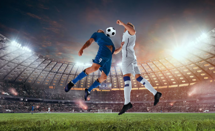 Which Sports Offer the Best Betting Opportunities?