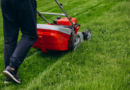 Lawn Care 101: The Beginner’s Guide to a Perfectly Manicured Yard Lawn Care 101: The Beginner’s Guide to a Perfectly Manicured Yard