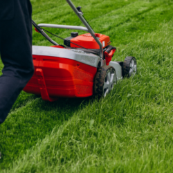 Lawn Care 101: The Beginner's Guide to a Perfectly Manicured Yard