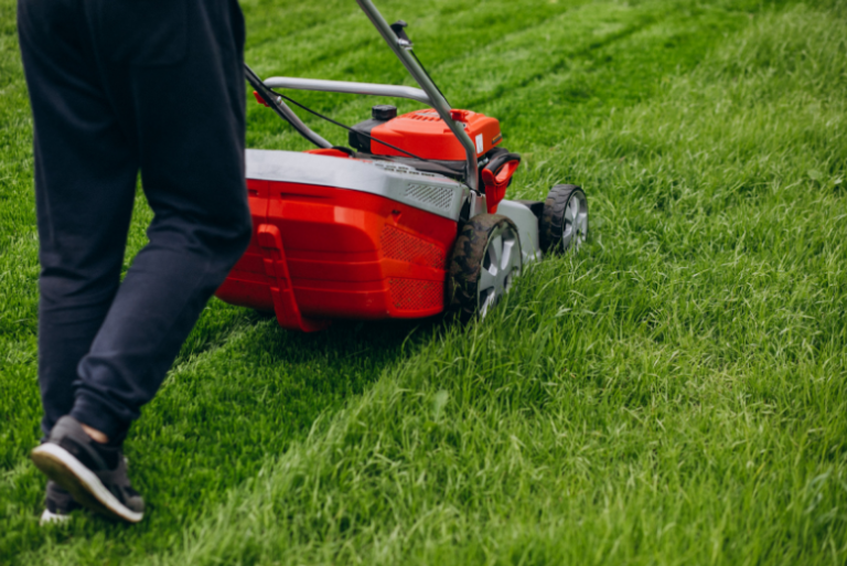 Lawn Care 101: The Beginner’s Guide to a Perfectly Manicured Yard