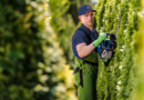Top 5 Reasons to Invest in Commercial Green Landscaping Supplies Top 5 Reasons to Invest in Commercial Green Landscaping Supplies