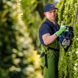 Top 5 Reasons to Invest in Commercial Green Landscaping Supplies