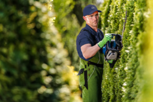Top 5 Reasons to Invest in Commercial Green Landscaping Supplies Top 5 Reasons to Invest in Commercial Green Landscaping Supplies