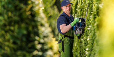 Top 5 Reasons to Invest in Commercial Green Landscaping Supplies Top 5 Reasons to Invest in Commercial Green Landscaping Supplies