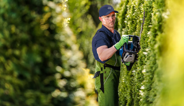 Top 5 Reasons to Invest in Commercial Green Landscaping Supplies Top 5 Reasons to Invest in Commercial Green Landscaping Supplies