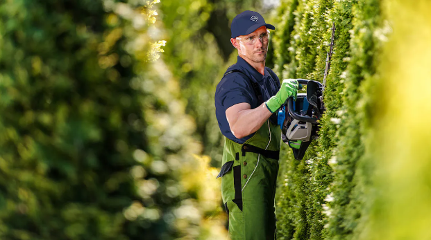 Top 5 Reasons to Invest in Commercial Green Landscaping Supplies